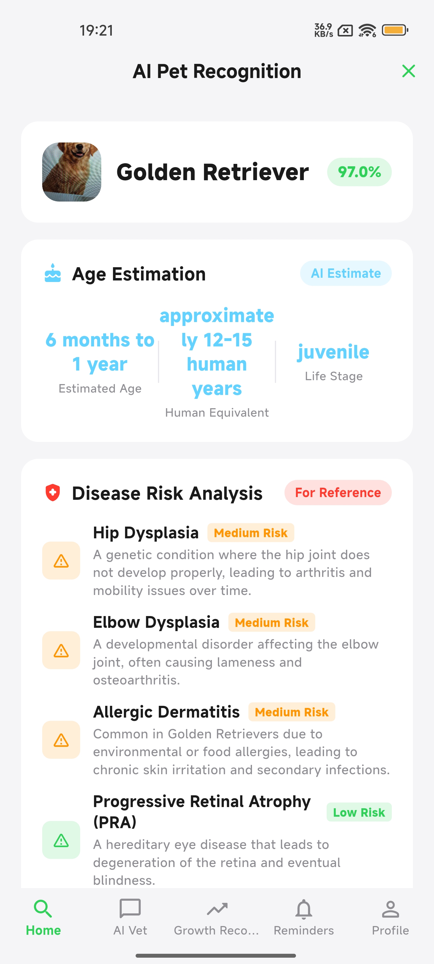 Recognition results — breed, age & disease risk